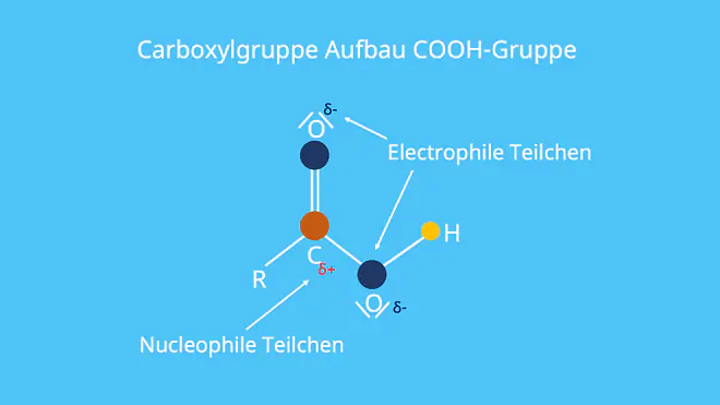 Carboxylgruppe, Aufbau, COOH-Gruppe, elektrophile Teilchen, nucleophile Teilchen