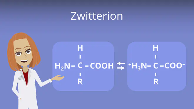 Zum Video: Zwitterion