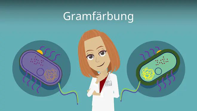 Zum Video: Gramfärbung