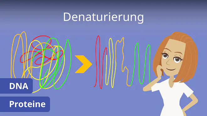 Zum Video: Denaturierung
