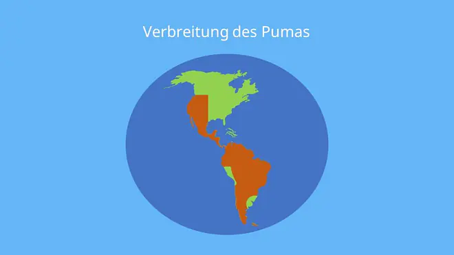 Verbreitung puma, lebensraum puma, berglöwe, silberlöwe, puma concolor