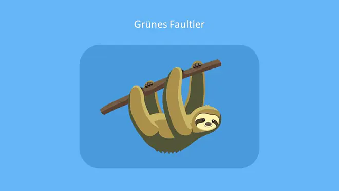 Faultier gewicht, algen, grünes Fell, faultier gesicht