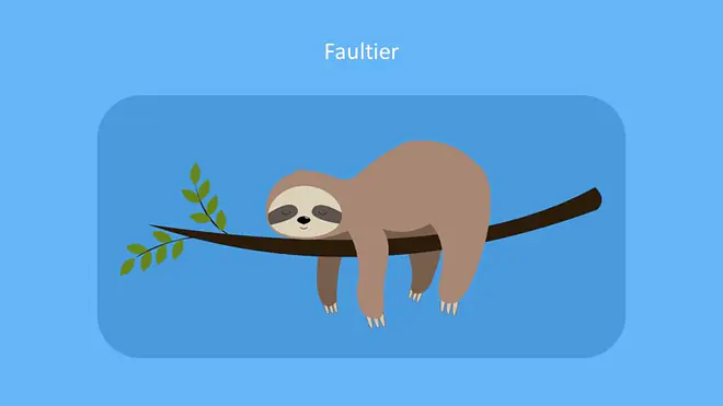 Bilder Faultier, Faultier Geschwindigkeit, lfaultier schlafen, warum sind faultiere so langsam, das faultier, faultiere zweifingerfaultier, dreifinderfaultier