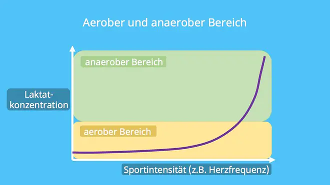 erhöhte laktatwerte, laktat erhöht, laktat steady state, laktatwert zu hoch, laktatwert, laktatwert zu hoch, laktatwerte, laktatwerte sport