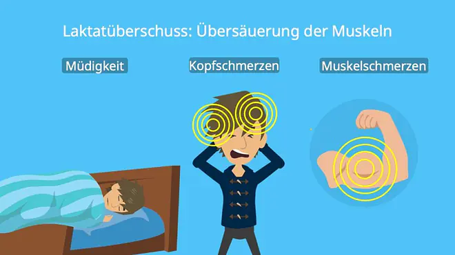 erhöhte laktatwerte, laktat erhöht, laktat erhöht symptomem laktat sport, laktat steady state, laktatwert zu hoch, muskeln übersäuert, laktattest, laktatwert, laktatwert zu hoch, laktatwerte, laktatwerte sport, übersäuerter Muskel
