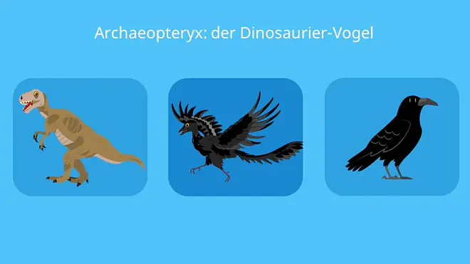 Archaeopteryx, vogelmerkmale, reptilienmerkmale, fliegen, fossil, brückentier, evolution