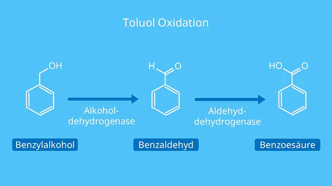 Toluol Oxidation, Toluene, Methylbenzol, Bromierung von Toluol, Methylbenzen, C6H5CH3