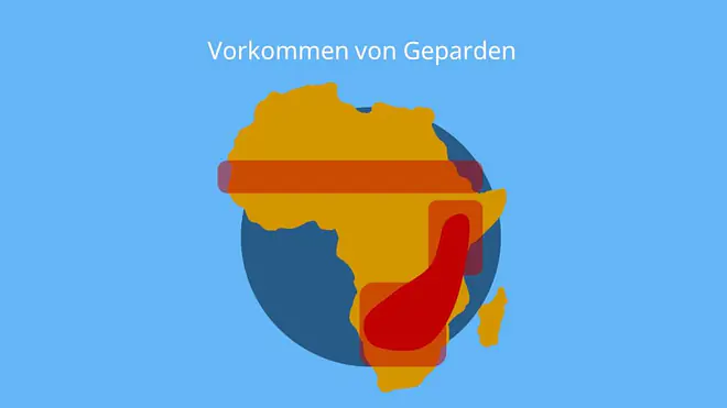 gepard lebensraum, wo leben geparden