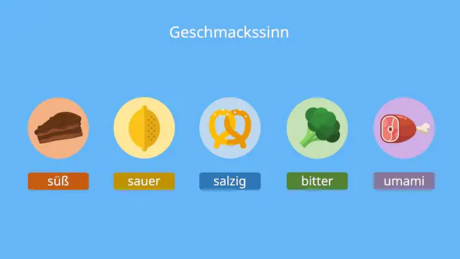 Das Bild zeigt eine Auflistung der einzelnen Geschmacksrichtungen süß, sauer, salzig, bitter und umami.