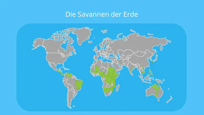 savanne, savanna, feuchtsavanne, trockensavanne, dornsavanne, dornstrauchsavanne, vegetationszone, savannen, savannenlandschaft, die savanne, savanne bilder, bilder savanne, savanne karte, savannen karte, savanne afrika karte