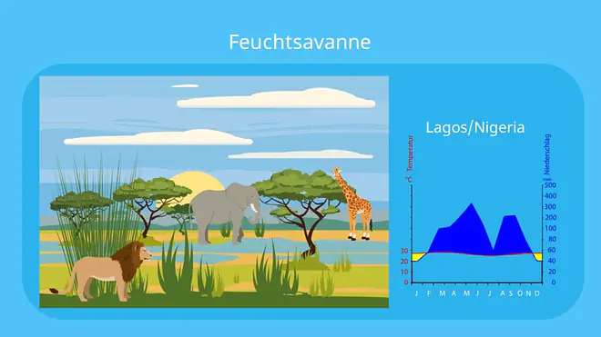 savanne, savanna, feuchtsavanne, vegetationszone, savannen, savannentypen, savannenlandschaft, die savanne, savanne pflanzen, savannengras, savanne bilder, bilder savanne, feuchtsavanne klima, feuchtsavanne nutzung, feuchtsavanne pflanzen, tiere in der feuchtsavanne, feuchtsavanne tiere, klima savanne, klimadiagramm feuchtsavanne, klimadiagramm savanne, pflanzen in der savanne, pflanzen der savanne, savanne vegetation, vegetation feuchtsavanne