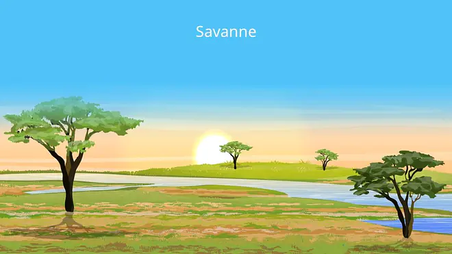 savanne, savanna, feuchtsavanne, trockensavanne, dornsavanne, dornstrauchsavanne, vegetationszone, savannen, savannentypen, savannenlandschaft, die savanne, savanne pflanzen, savannengras, savanne bilder, bilder savanne