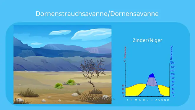 savanne, savanna, dornsavanne, dornstrauchsavanne, vegetationszone, savannen, savannentypen, savannenlandschaft, die savanne, savanne pflanzen, savannengras, savanne bilder, bilder savanne, pflanzen in der savanne, pflanzen der savanne, savanne vegetation, klima savanne, dornsavanne tiere, dornsavanne vegetation, dornstrauchsavanne tiere, klima dornsavanne, klimadiagramm dornstrauchsavanne