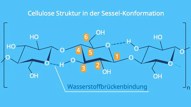 Die Grafik zeigt die Struktur der Cellulose in der Sessel-Konformation. Sie veranschaulicht die räumliche Anordnung der Glucoseeinheiten sowie die Wasserstoffbrückenbindungen, die zur Stabilität der Cellulosekette beitragen.