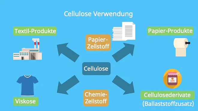 Die Abbildung zeigt verschiedene Verwendungsbereiche von Cellulose. Sie wird zur Herstellung von Papier- und Chemiezellstoff, Textilprodukten wie Viskose sowie Cellulosederivaten genutzt, die beispielsweise als Ballaststoffzusatz in Lebensmitteln dienen.