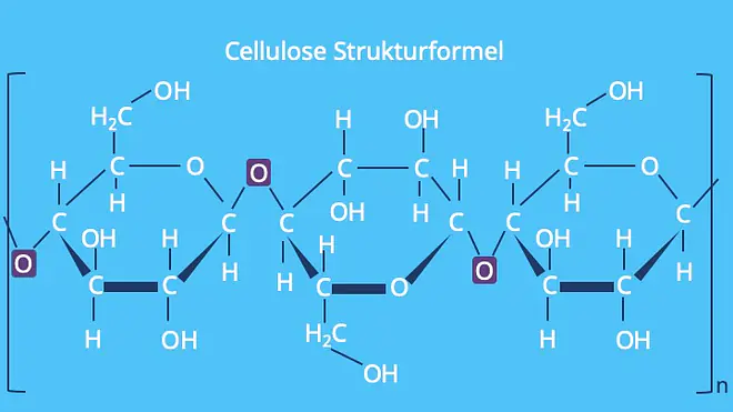 Die Abbildung zeigt die Strukturformel von Cellulose, einer Kette aus mehrfach verknüpften Glucosemolekülen, die über Sauerstoffbrücken verbunden sind. 