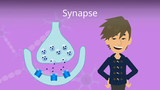 Zum Video: Synapse