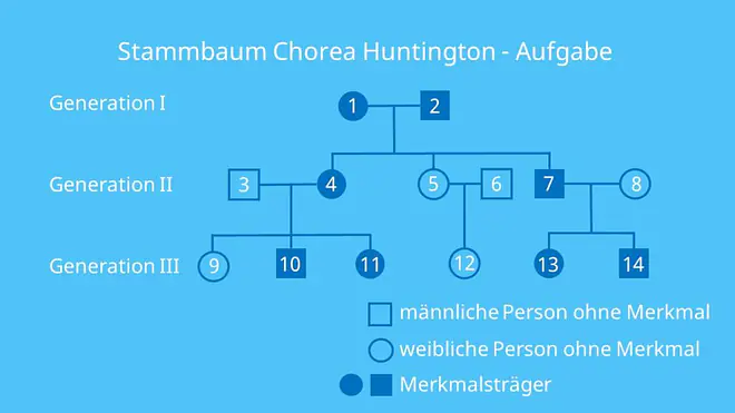 Stammbaumanalyse Übungen, Aufgaben mit Lösungen, autosomal dominant, Erbkrankheit, Stammbaumanalyse Beispiel