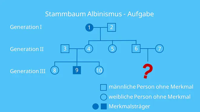 Stammbaumanalyse Übungen, Stammbaumanalyse Aufgaben mit Lösungen, autosomal rezessiv, Erbkrankheit, Stammbaumanalyse Beispiel, Stammbaum Beispiel