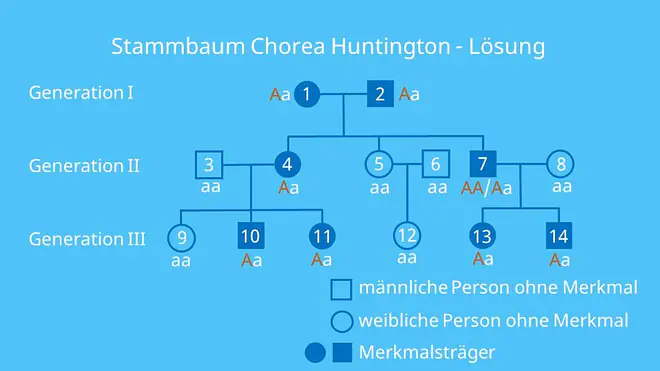 Stammbaumanalyse Übungen, Aufgaben mit Lösungen, autosomal dominant, Erbkrankheit, Stammbaumanalyse Beispiel