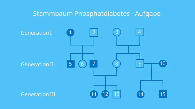 Stammbaumanalyse Übungen, Aufgaben mit Lösungen, gonosomal dominant, Erbkrankheit, X-Chromosomal, Stammbaumanalyse Beispiel, Stammbaum Beispiel