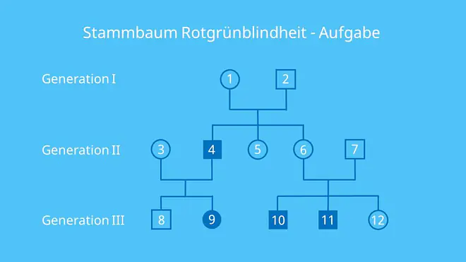 Stammbaumanalyse Übungen, Stammbaumanalyse Aufgaben mit Lösungen, gonosomal rezessiv, Erbkrankheit, X-Chromosomal, Stammbaumanalyse Beispiel, Stammbaum Beispiel