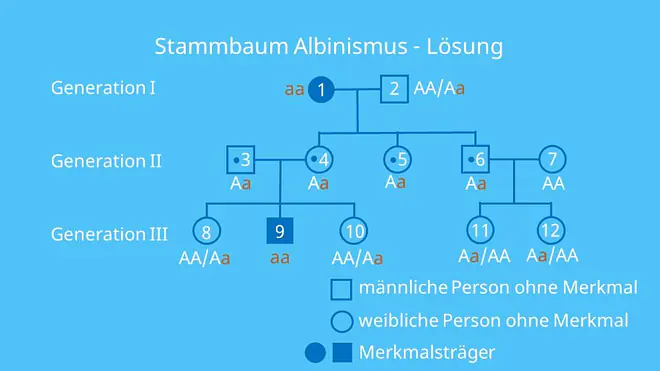 Stammbaumanalyse Übungen, Stammbaumanalyse Aufgaben mit Lösungen, autosomal rezessiv, Erbkrankheit, Stammbaumanalyse Beispiel, Stammbaum Beispiel