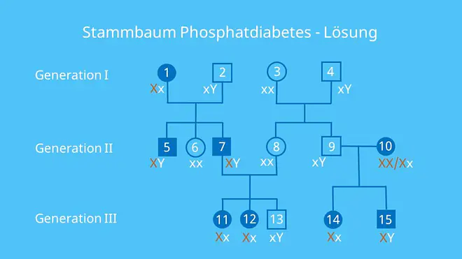 Stammbaumanalyse Übungen, Aufgaben mit Lösungen, gonosomal dominant, Erbkrankheit, X-Chromosomal, Stammbaumanalyse Beispiel, Stammbaum Beispiel