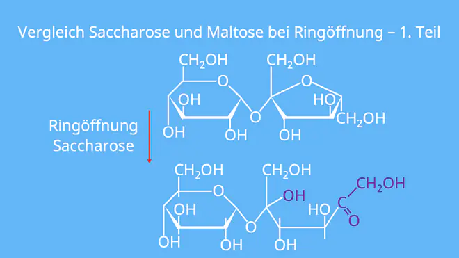 Saccharose Strukturformel, Strukturformel Saccharose, Saccharose Formel, Glykosidische Bindung