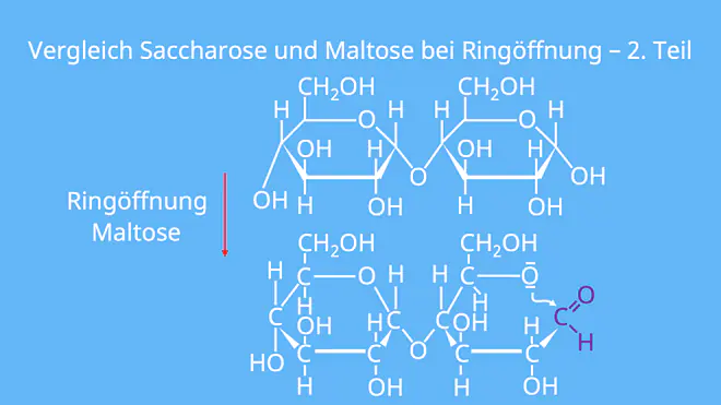 Saccharose Strukturformel, Strukturformel Saccharose, Saccharose Formel, Glykosidische Bindung