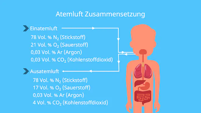 Zusammensetzung Atemluft + ausatmen, Zusammensetzung Atemluft, Luft besteht aus, Aus welchen Gasen besteht Luft, Wieviel Sauerstoff ist in der Luft, O2 Gehalt in der Luft, Luftgemisch, Luftbestandteile. Sauerstoffanteil Luft, Stickstoff in der Luft