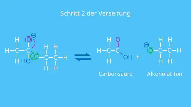 alkalische Verseifung, Verseifung Mechanismus, Mechanismus Verseifung, Essigsäureethylester Verseifung