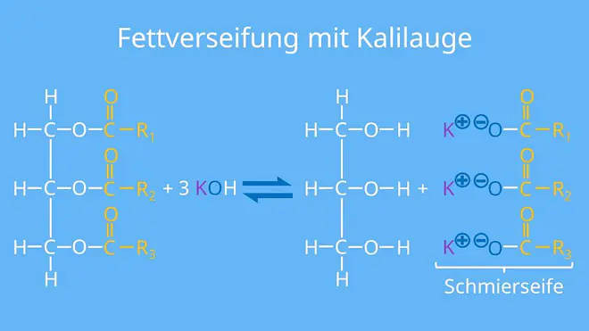 Verseifung von Fetten, Hydrolyse von Fetten, verseifen, verseift, Hydrolyse von Estern