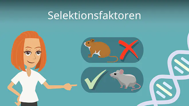 Zum Video: Selektionsfaktoren