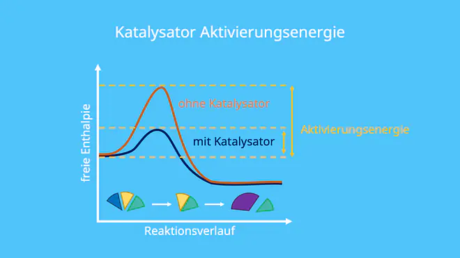 Katalysator Energiediagramm, Katalysator Funktion, Was bedeutet katalysieren, chemische Katalysatoren, Katalysatoren Biologie, Katalysatoren Chemie