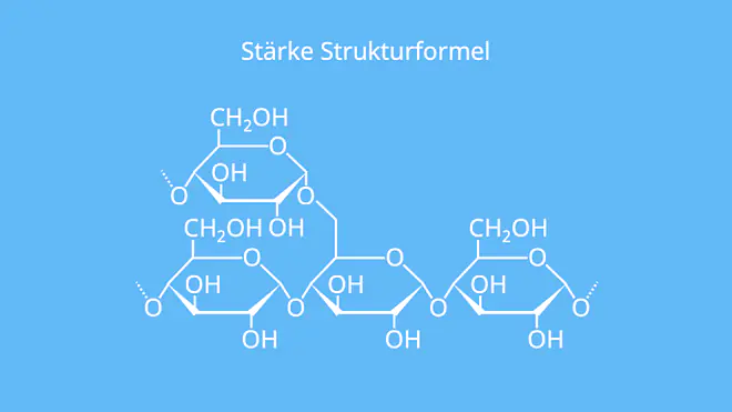 Stärke Molekül, Stärke Chemie, Aufbau von Stärke, Stärke Formel, Stärke Aufbau