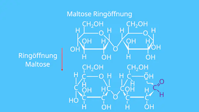 Maltose Glucose, Was ist Maltose, Maltose Strukturformel, Malzzucker, Disaccharid