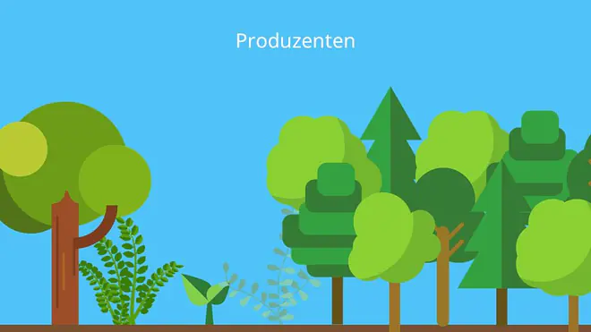 Produzent, Primärproduzent, Primärproduktion