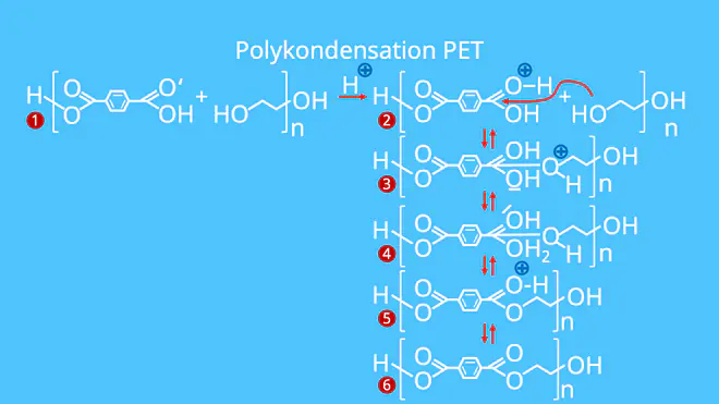 Was ist ein Monomer, Monomer PET, Monomer Polymer, Monomere Kunststoffe