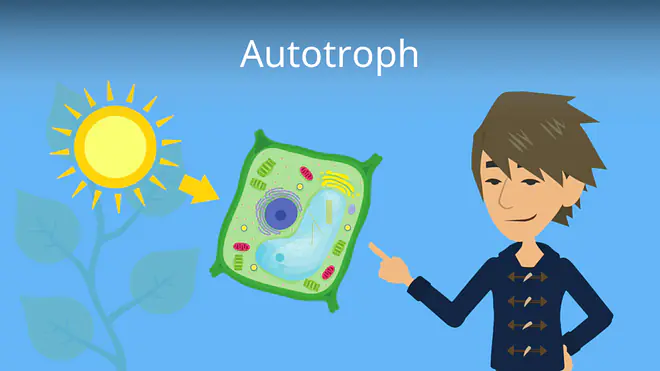 Zum Video: Autotroph