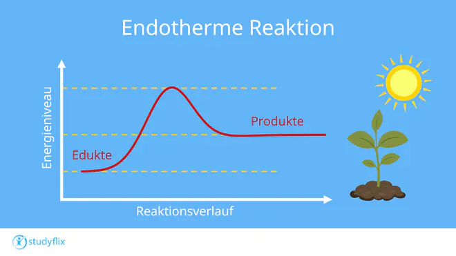 Ein Bild zeigt ein Energiediagramm einer endothermen Reaktion mit Edukten und Produkten. Die Achsen sind mit Energieniveau und Reaktionsverlauf beschriftet.