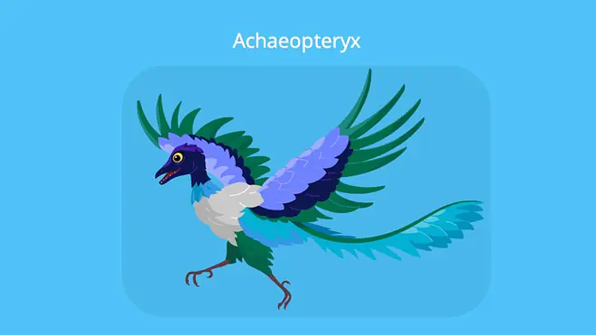 Brückentiere Beispiele, Archaeopteryx, Vogel evolution, Reptilienmerkmale, Belege für die Evolution