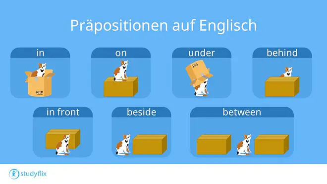 Lernillustration zu englischen Präpositionen zeigt anhand einer Katze und einer Kiste die Bedeutungen von in, on, under, behind, in front of, beside und between und verdeutlicht die jeweiligen Ortsbeziehungen anschaulich.