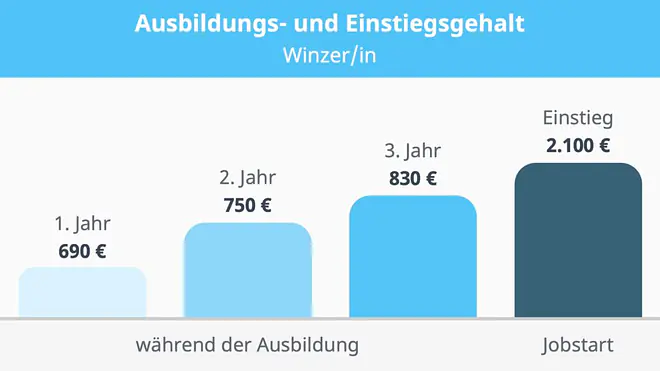 Winzer Gehalt, Gehalt Winzer, Winzer Ausbildung Gehalt, Ausbildung Winzer Gehalt, Winzer Verdienst, Verdienst Winzer