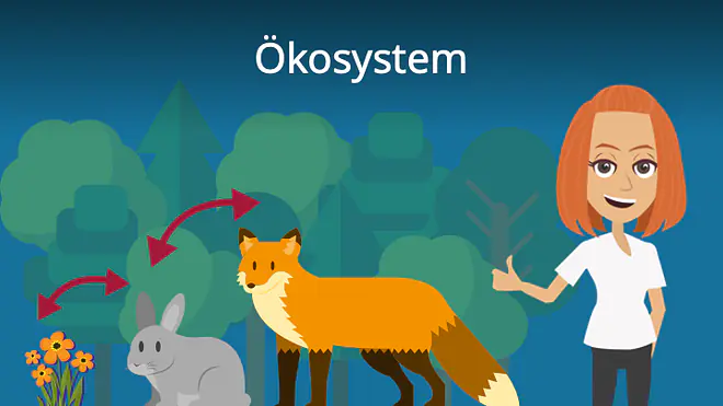 Zum Video: Ökosystem