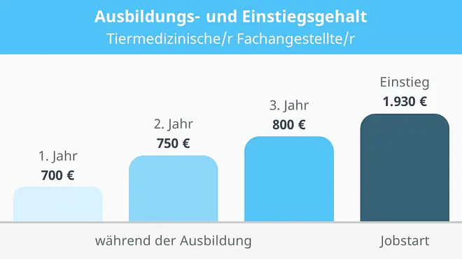 Tiermedizinische Fachangestellte Gehalt, Tiermedizinischer Fachangestellter Gehalt, Gehalt Tiermedizinische Fachangestellte, was verdient eine Tiermedizinische Fachangestellte, was verdient eine Tierarzthelferin, Gehalt Tierarzthelferin, Tierarzthelferin Gehalt, TFA Gehalt