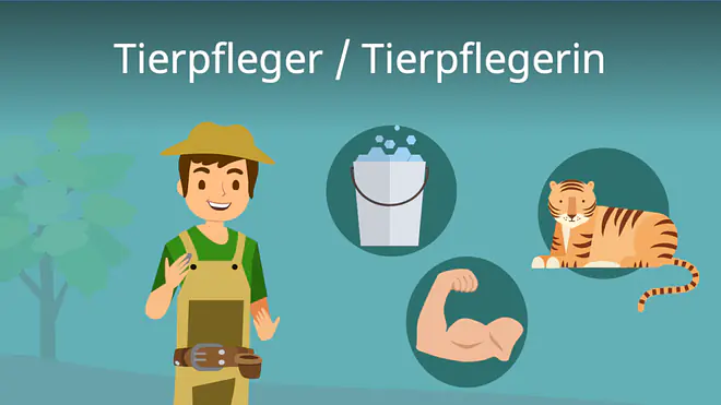Zum Video: Tierpfleger / Tierpflegerin