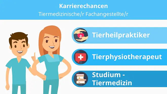Tiermedizinische Fachangestellte, Tiermedizinischer Fachangestellter, Tierarzthelferin, Ausbildungsplatz Tiermedizinische Fachangestellte, Bewerbung Tiermedizinische Fachangestellte, Tiermedizinische Fachangestellte Jobs, Stellenangebote Tiermedizinische Fachangestellte, Tierheilpraktiker, Ausbildung Tierheilpraktiker, Tierphysiotherapeut, Tiermedizin Studium, Tiermedizin