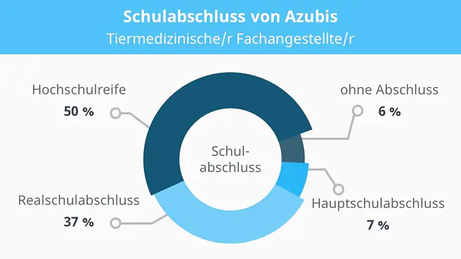 Tiermedizinische Fachangestellte Ausbildung, Tierarzthelferin Ausbildung, Ausbildung Tiermedizinische Fachangestellte, Ausbildung Tierarzthelferin, Tierarzthelfer Ausbildung, Ausbildung Tierarzthelfer, TFA Ausbildung
