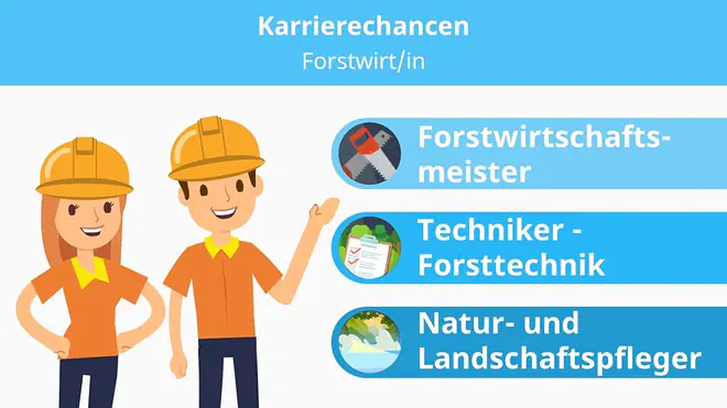 Forstwirt, Forstwirtin,  Forstwirt Weiterbildung, Forstwirtschaftsmeister, Techniker, Forsttechnik, Natur- und Landschaftspfleger